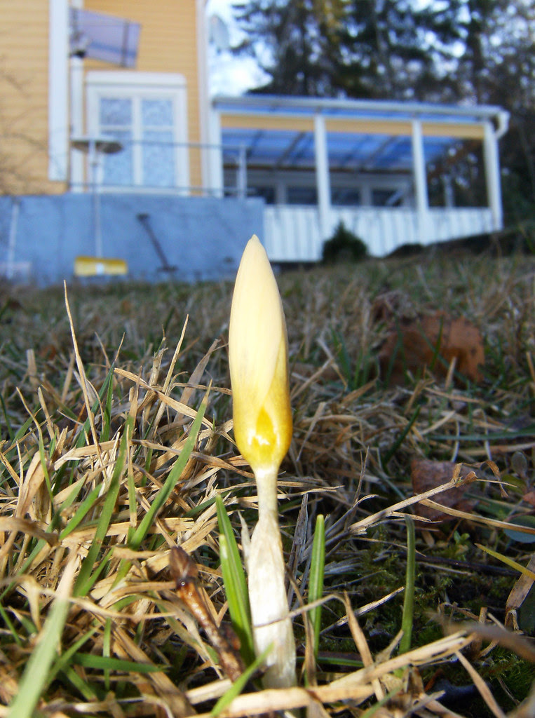 Springtastic!