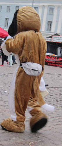 Lämpimiä naamiasasuja