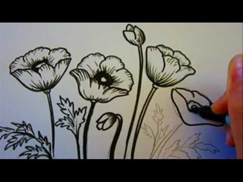 Flower Tutorial - How To Draw Flowers - Poppy Flowers ... Found 3 free flowers drawing tutorials which can be drawn using pencil, market, photoshop, illustrator just follow step by step directions.