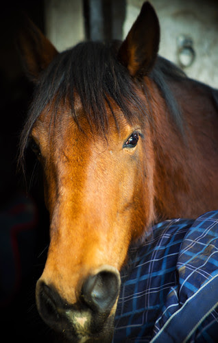 Fuzhou Feihua 50mm F/1.4 CCTV Lens FH5014MC