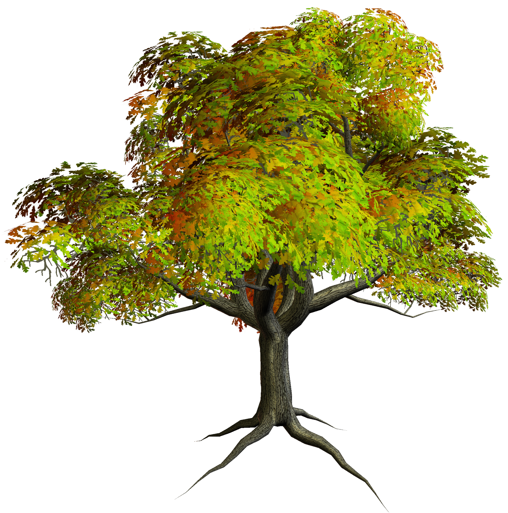 Free Free Pictures Of Trees Download Free Free Pictures Of Trees Png Images Free Cliparts On Clipart Library