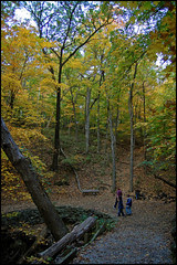 Autumn Hike