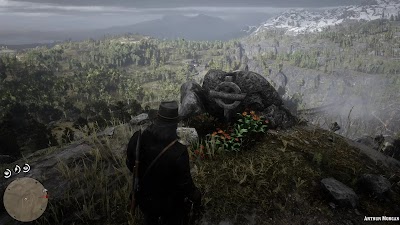 Arthur Morgan Gravesite Rdr2