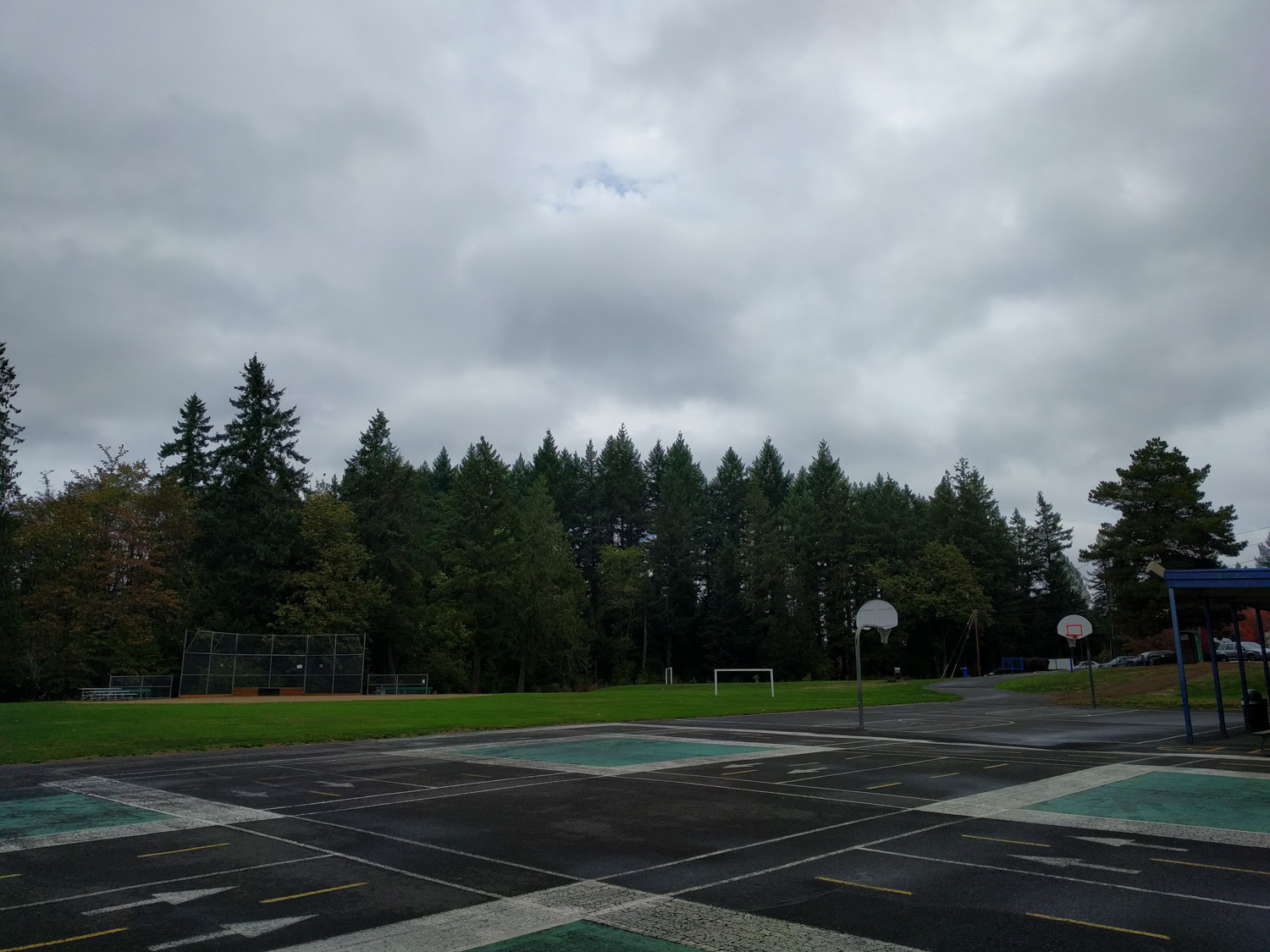 nexus 5x camera samples-27