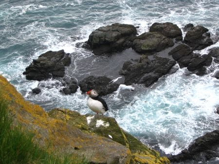 Látrabjarg