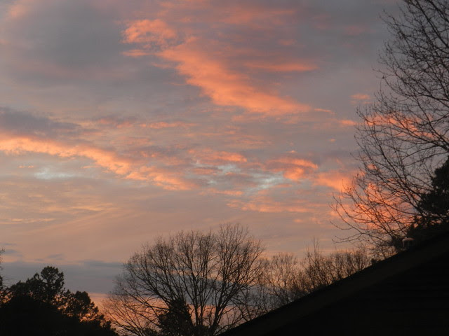 skywatDSCN0394