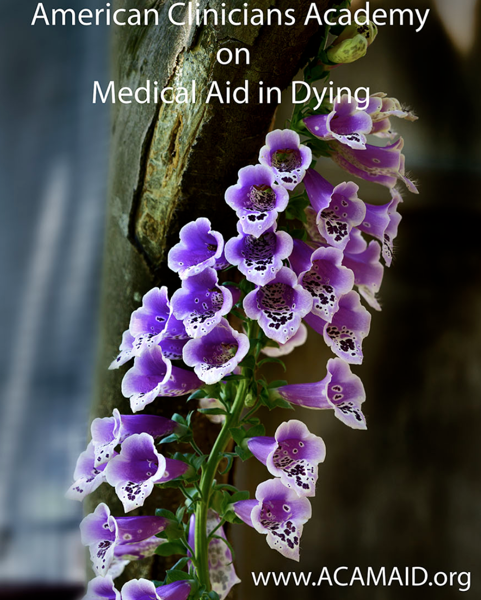 Our Education - Full Circle of Living and Dying