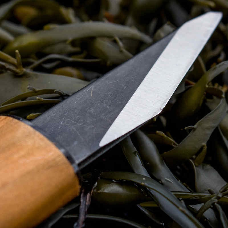 Couteau carbone japonais, Couteaux lame acier carbone