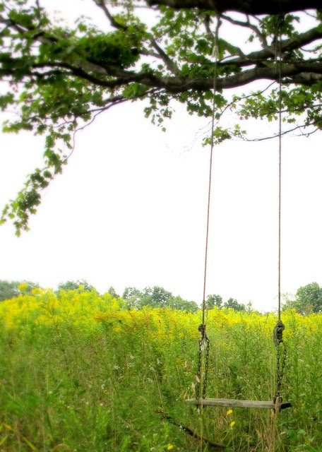 empty swing