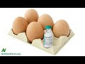 Eggs and Diabetes