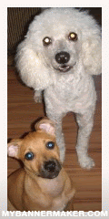 create your own banner at mybannermaker.com!