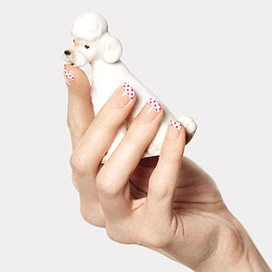 Hands with polka dot French manicure holding French poodle
