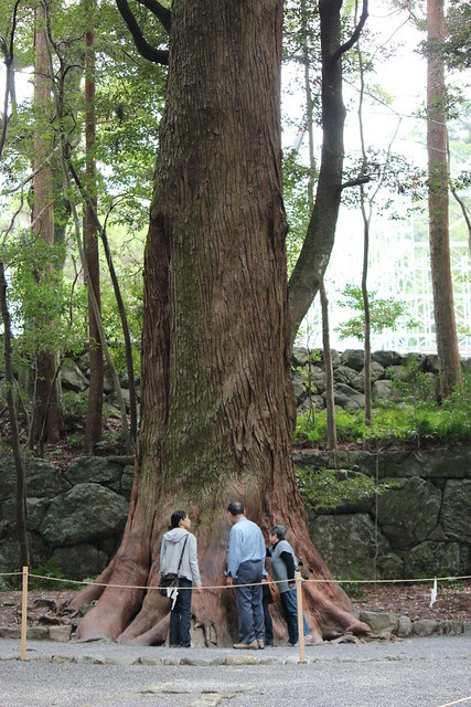 IMG_1003.JPG