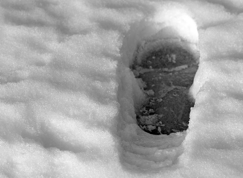 A Winter Walk