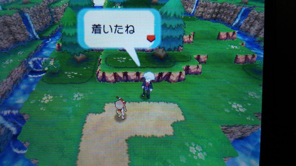 Orasラティ厳選始めました 震え声 イカぽ弁当