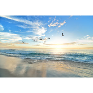 海 Gahag 著作権フリー写真 イラスト素材集