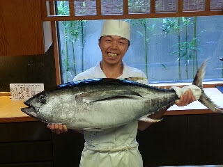 ダルマ メバチマグロの幼魚 寿司 割烹 醍醐