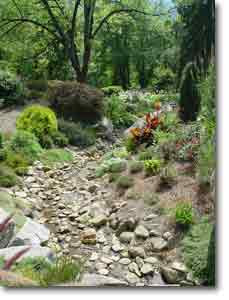 Ideas for a Rock Garden