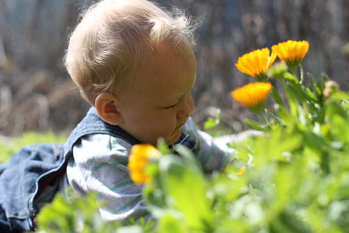 Little gardener 1