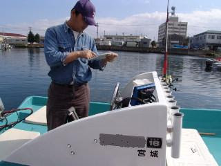 Goko Marine カスタマイズ ご注意 Navmanならびにnothstar製品に関しては 現在 販売 メンテナンス及び国内流通がございません 下記内容に関しては 弊社取り扱いをしていた 当時の参考として当時のままの表示 アーカイブとして お楽しみ