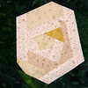 Sarah's
 Rose Block #1
