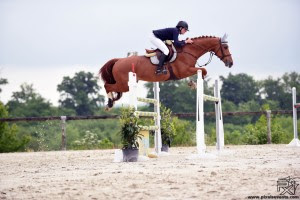 Devenir cavalier jeunes chevaux CSO avec des 