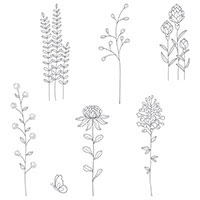 Flowering Fields Clear-Mount Stamp Set
