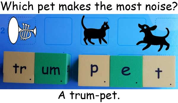 trumpet 喇叭 pet 寵物