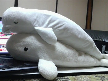 ななすけ だもの お土産もらったど