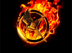 Image result for mockingjay