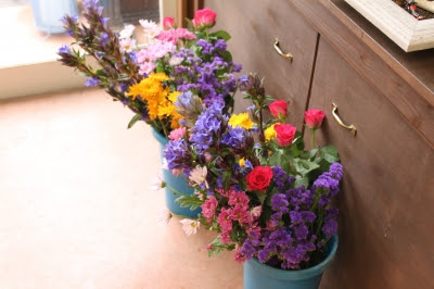 激安 １バケツ ５００円 いわき市 小名浜 花国湘南台店 お花の日記