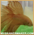 create your own banner at mybannermaker.com!