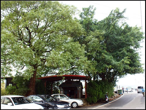 DSC00579
