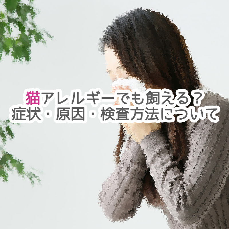 猫アレルギーでも猫を飼える 症状 原因 検査方法 費用 について 猫の総合情報サイト ペットスマイルニュースforネコちゃん