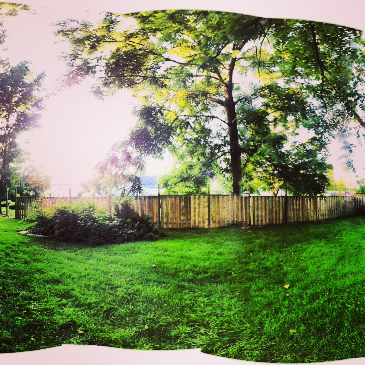 fence 2