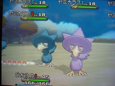 よもぎの色ポケコレクションブログ 色違いポケモン 群れバトル