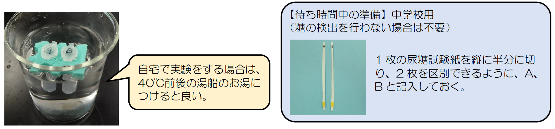 だ液による消化実験 お茶の水女子大学 理科教材データベース