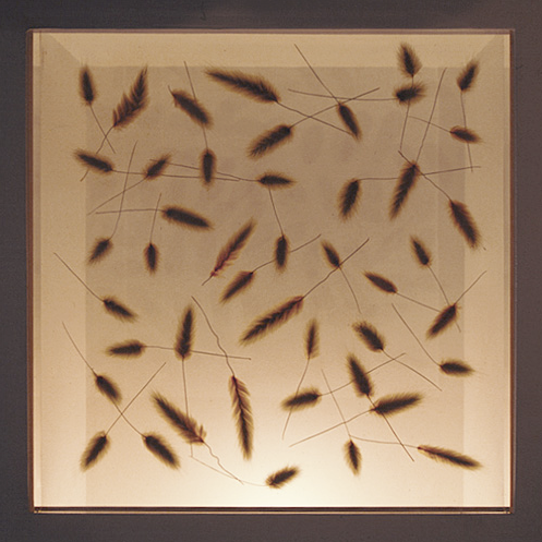 Atelier Ruche's Light-fixture 3
