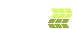 tampa web design