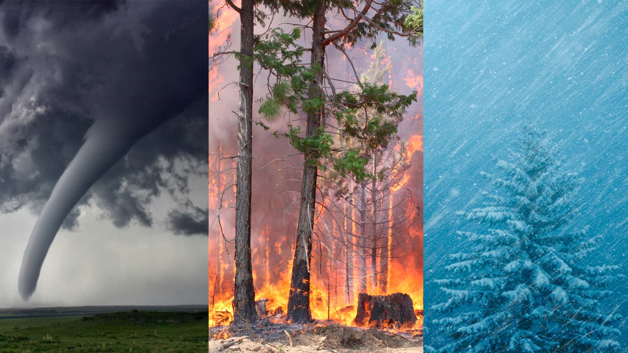 Tornado, wildfire, snowstorm