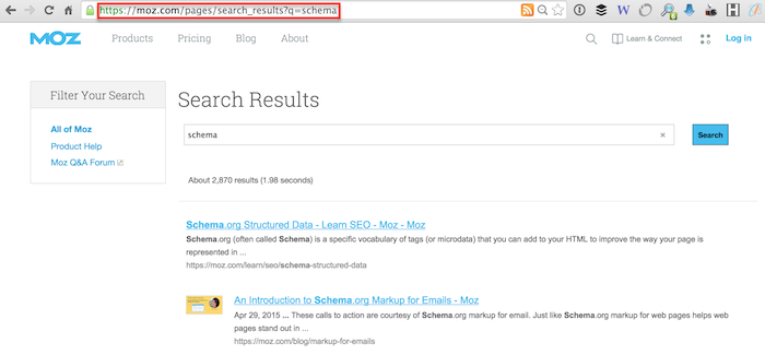 site search query parameter