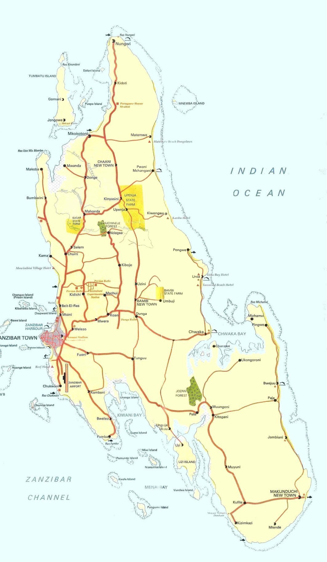 Zanzibar Piantina