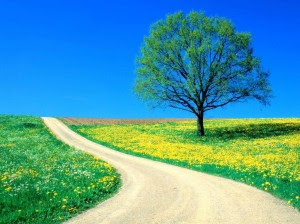 campo