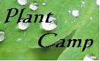 Plant Camp Monday's