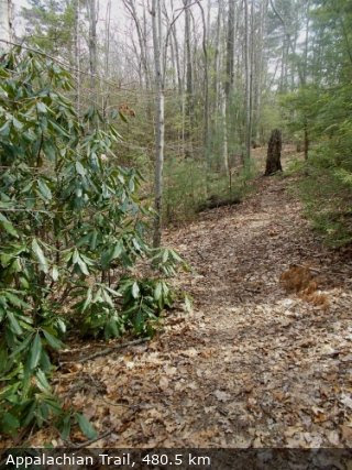 Trail Photo