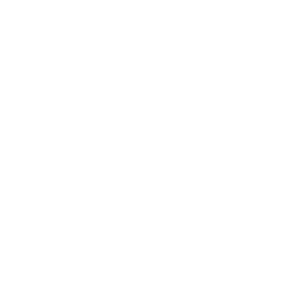 White Facebook Logo Icon Transparent Png Stickpng