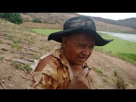 CONHEÇAM A HISTÓRIA DESSE SIMPLES AGRICULTOR QUE DE EMPREGADO A PATRÃO -...
