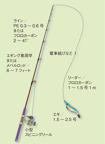 ジンドウイカ 陣胴烏賊 釣りの仕掛け講座 海水編 房総爆釣通信