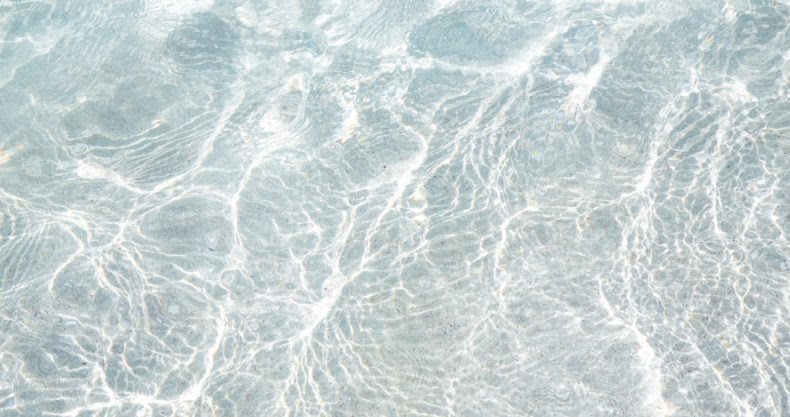 水槽が白く濁る理由はなに 海水が白濁する原因を徹底解説 マリンアクアリウム総合情報サイト