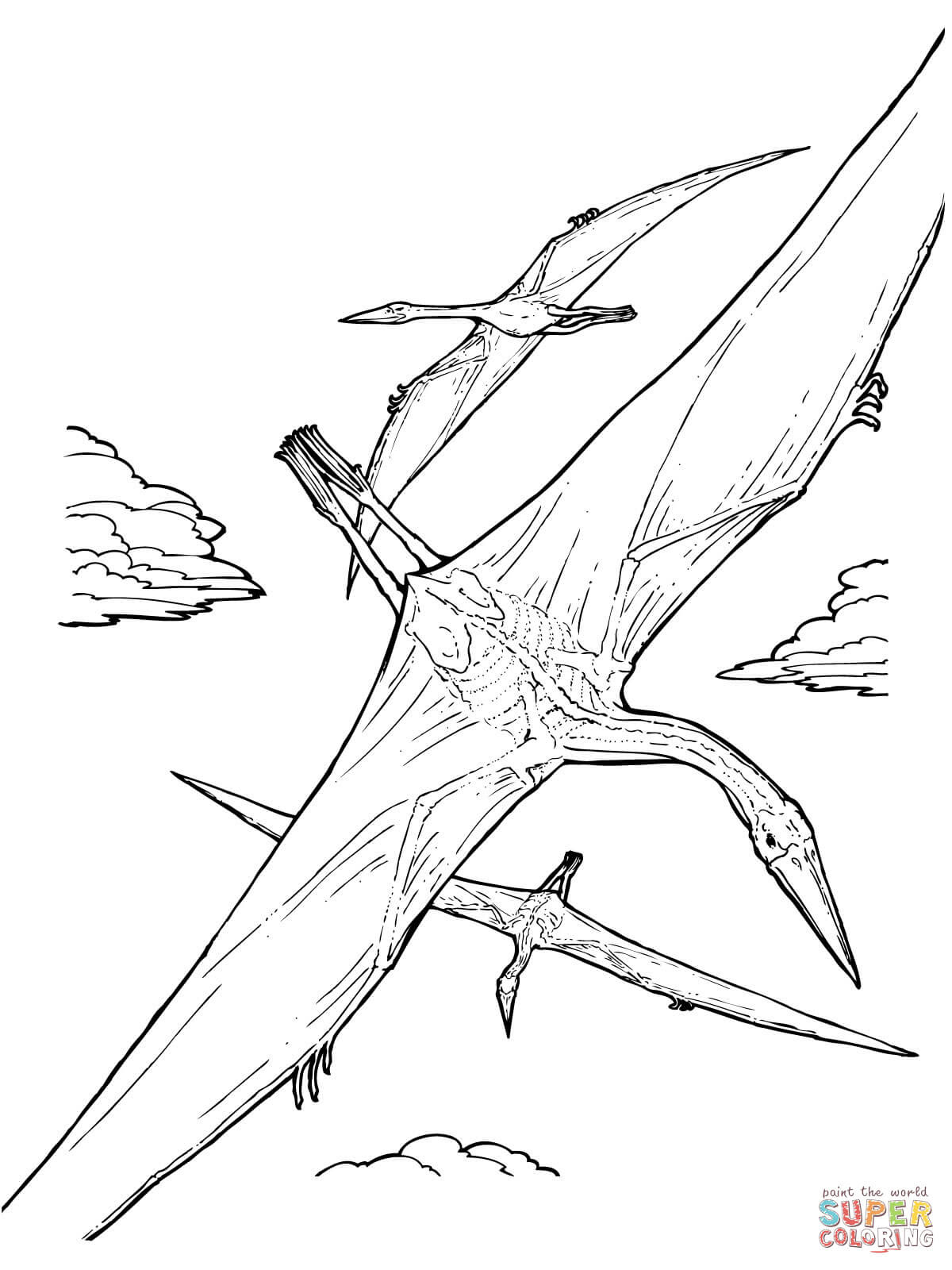 Ausmalbild Quetzalcoatlus Flugsaurier Ausmalbilder Kostenlos Zum Ausdrucken